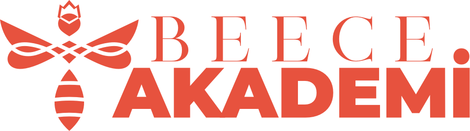 Akademi Logo